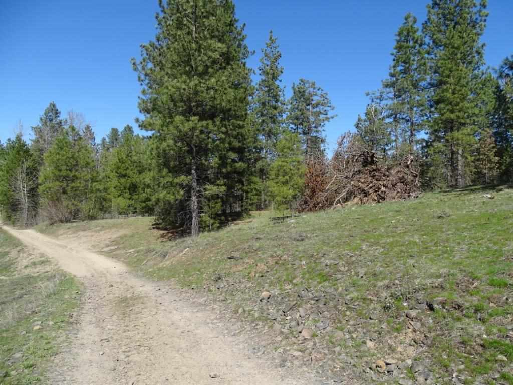 Property Photo: 00 N Burroughs Tract E WA 99006
