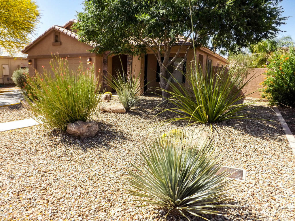 Property Photo: 1632 E Nardini Street AZ 85140