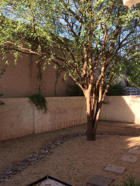 Property Photo: 2826 N 43rd Street AZ 85008