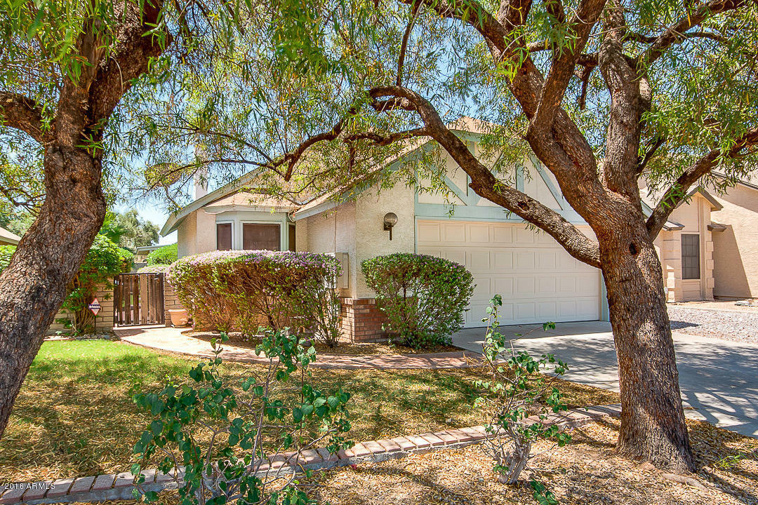 Property Photo:  1705 E Juanita Avenue  AZ 85204 