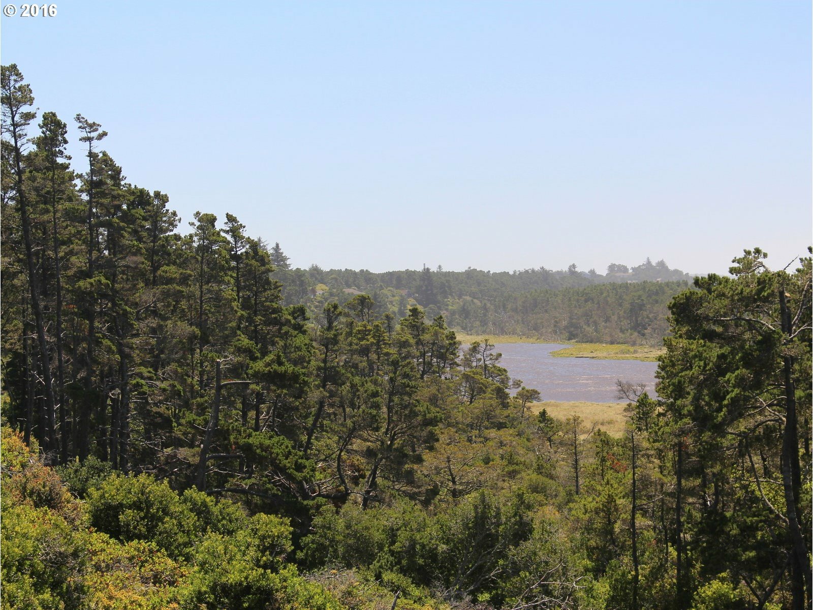 Property Photo: Bambi Ct 24 OR 97439