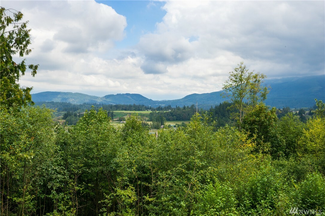 Property Photo:  802 Panorama Ridge  WA 98273 