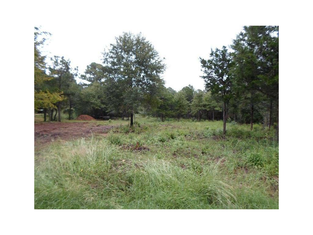 Property Photo:  000 Old Firetower Road  TX 78602 