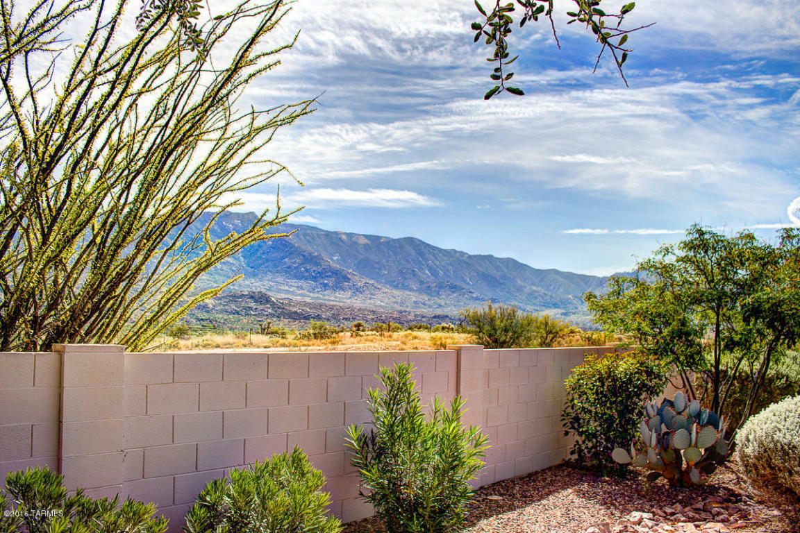 Property Photo:  38929 S Tranquil Drive  AZ 85739 