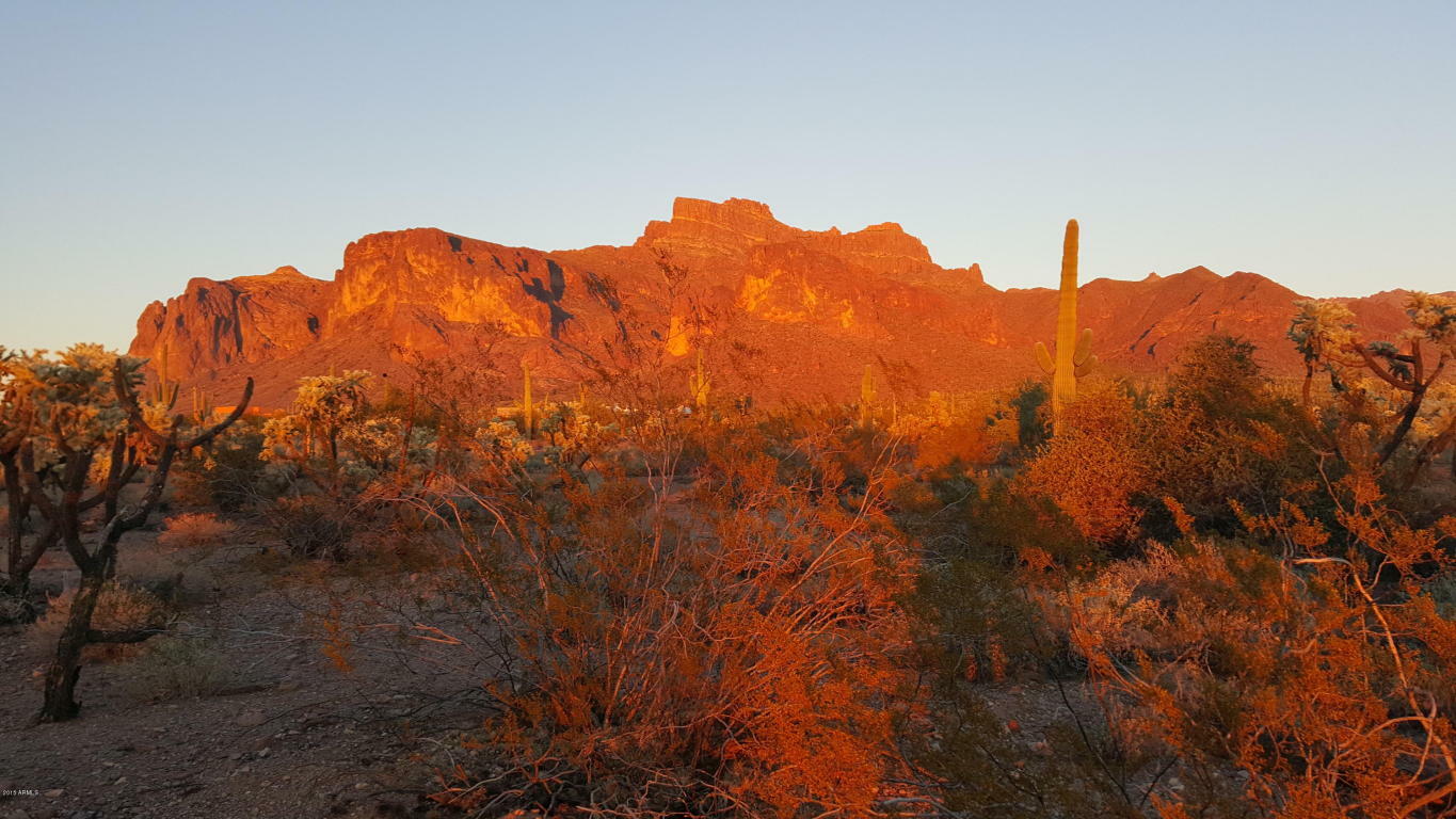 Property Photo:  5952 E Cactus Wren -- 0  AZ 85119 