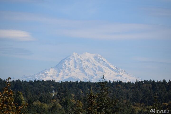 Property Photo:  5212 Sleater Kinney Rd NE  WA 98506 