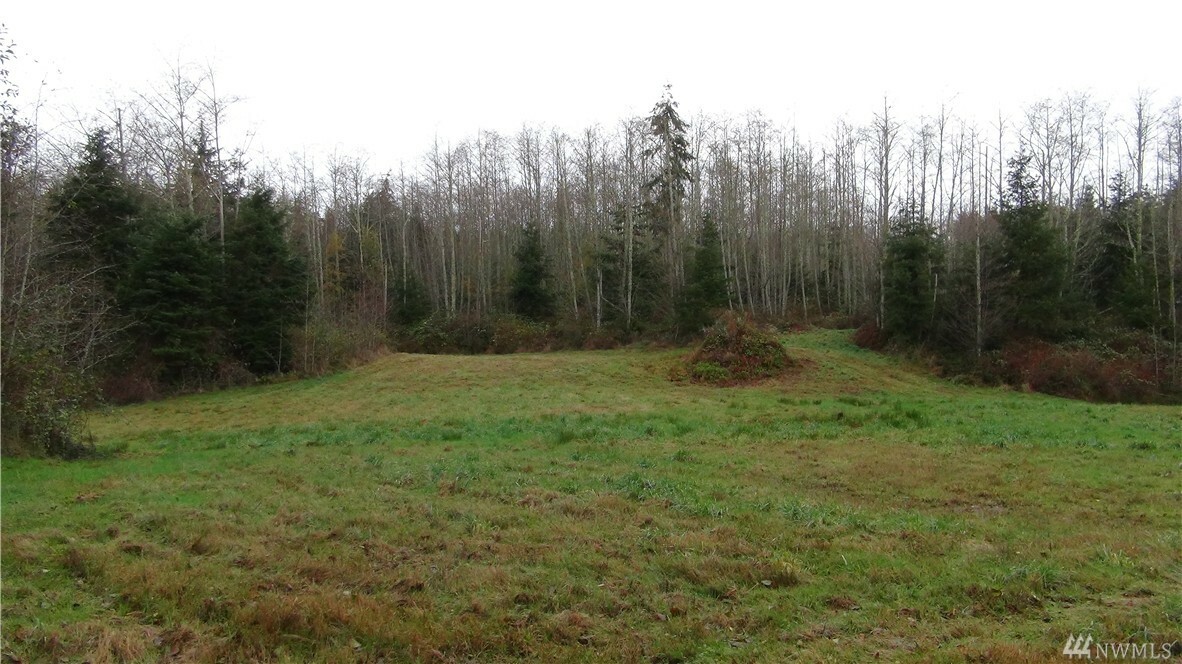 Property Photo: 0 Angelina Ct WA 98241