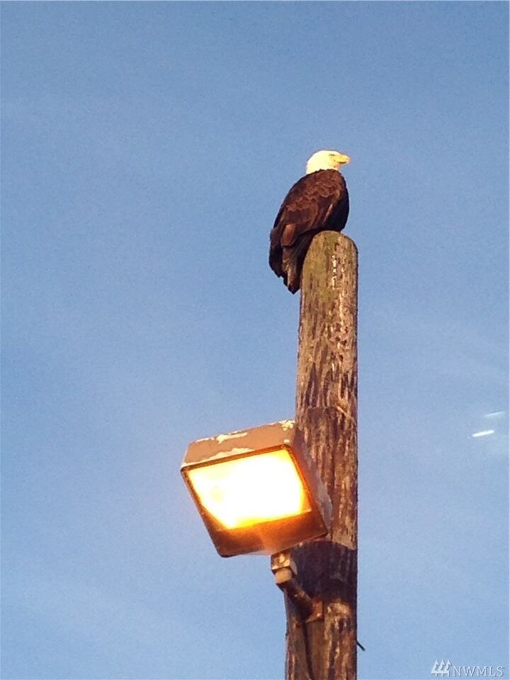 1100 Berry Wy  Lummi Island WA 98262 photo