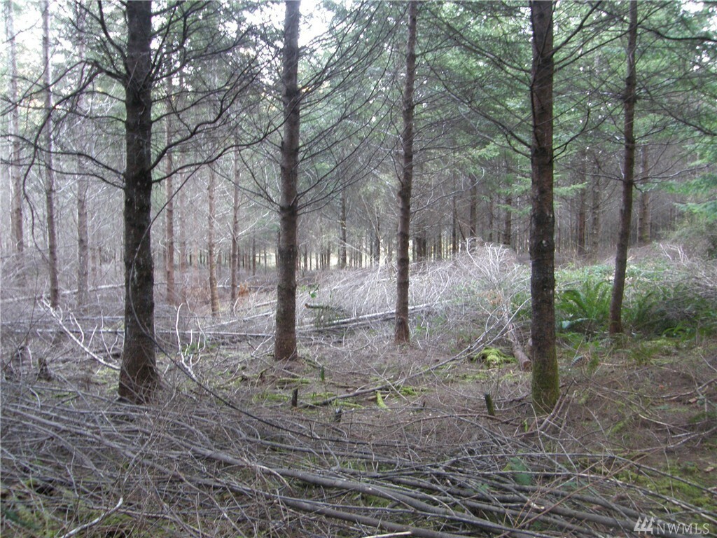 Property Photo: 115 Powers Creek Rd WA 98541