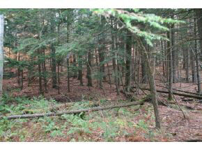 Property Photo: 422 Lyon Drive VT 05059