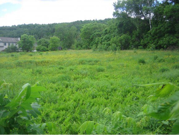 Property Photo:  West Gilson Ave.  VT 05059 