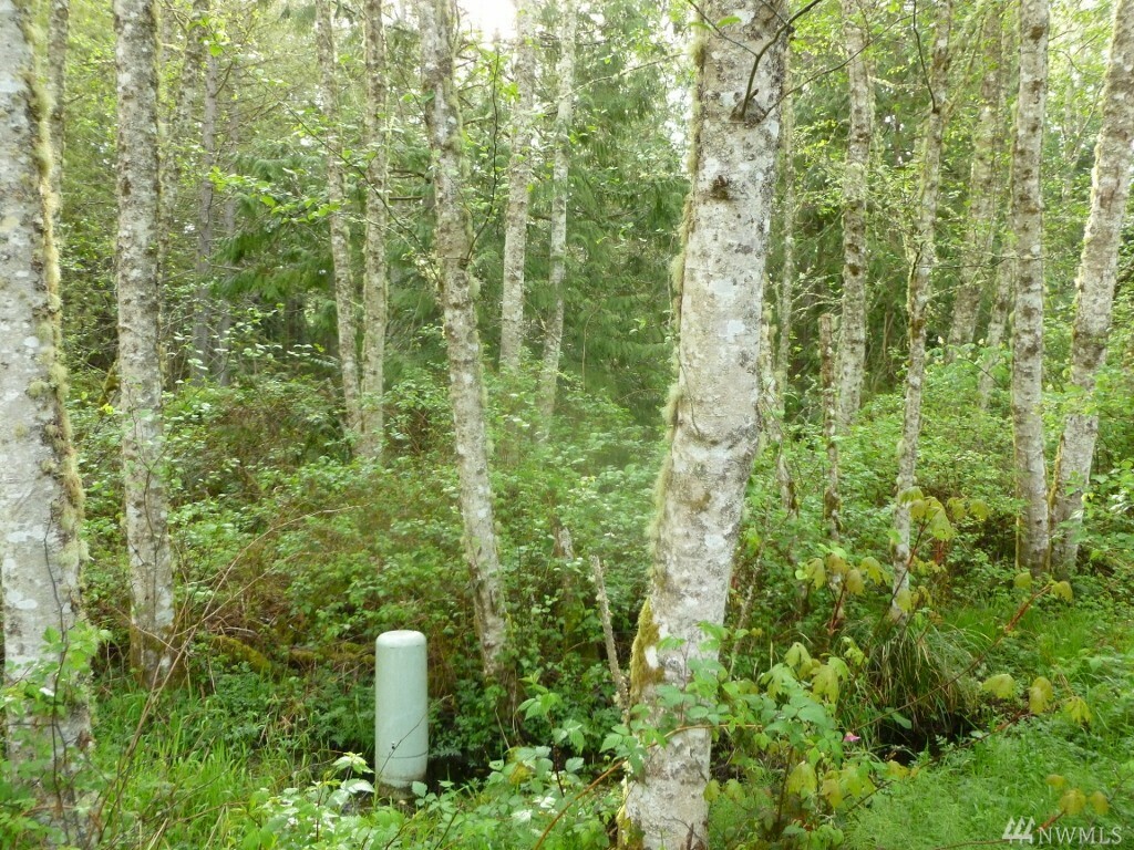 Property Photo: Xxx Thumper Place WA 98282