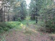 Property Photo:  00 Bellinger Rd  WA 99173 