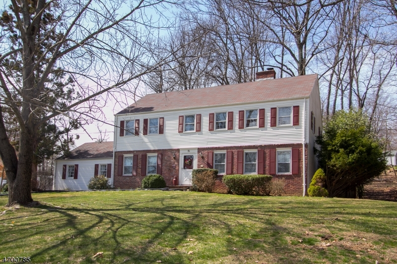 Property Photo:  15 Buckley Hill Rd  NJ 07960 