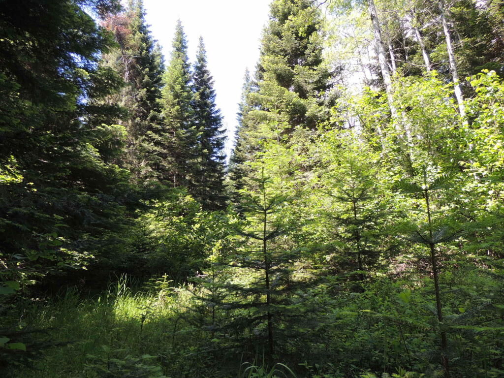 Property Photo: Xxx Riverbend Ct WA 99119