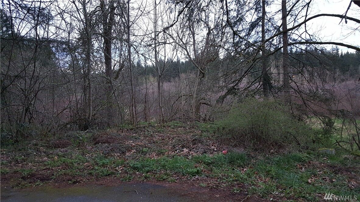 Property Photo:  21820 E Terra Lane SE  WA 98597 