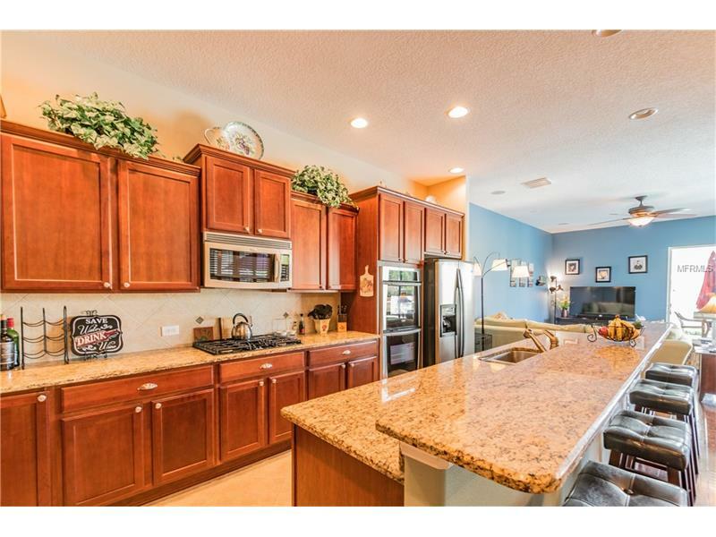Property Photo: 2733 Blueslate Court FL 34638