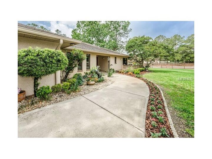 Property Photo: 3460 Forelock Road FL 34688