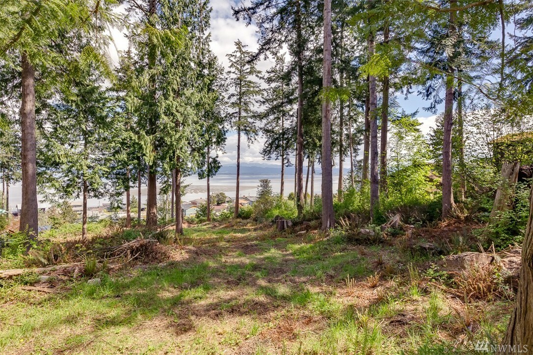 Property Photo: 337 Tillicum Way WA 98282