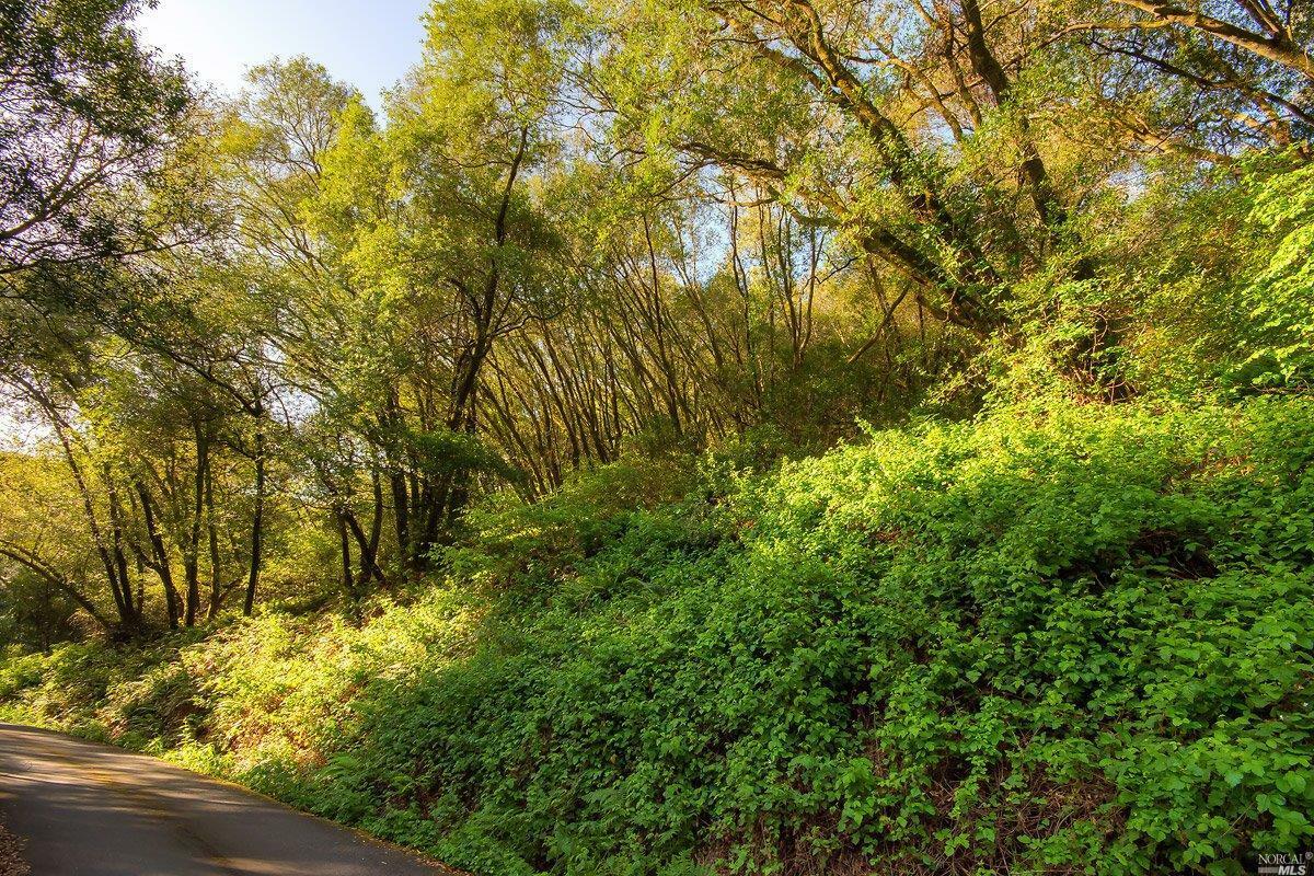 Property Photo:  0 Laurel Canyon Road  CA 94946 