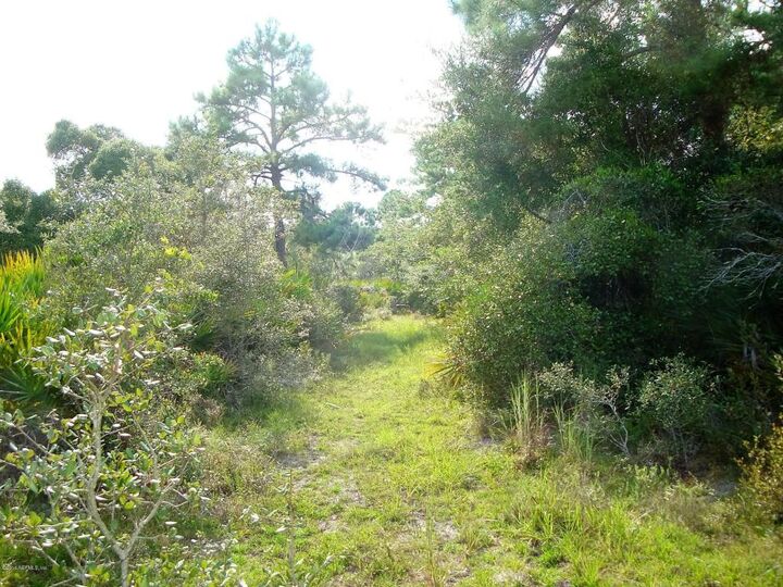 13288 Sawpit Road  Jacksonville FL 32226 photo