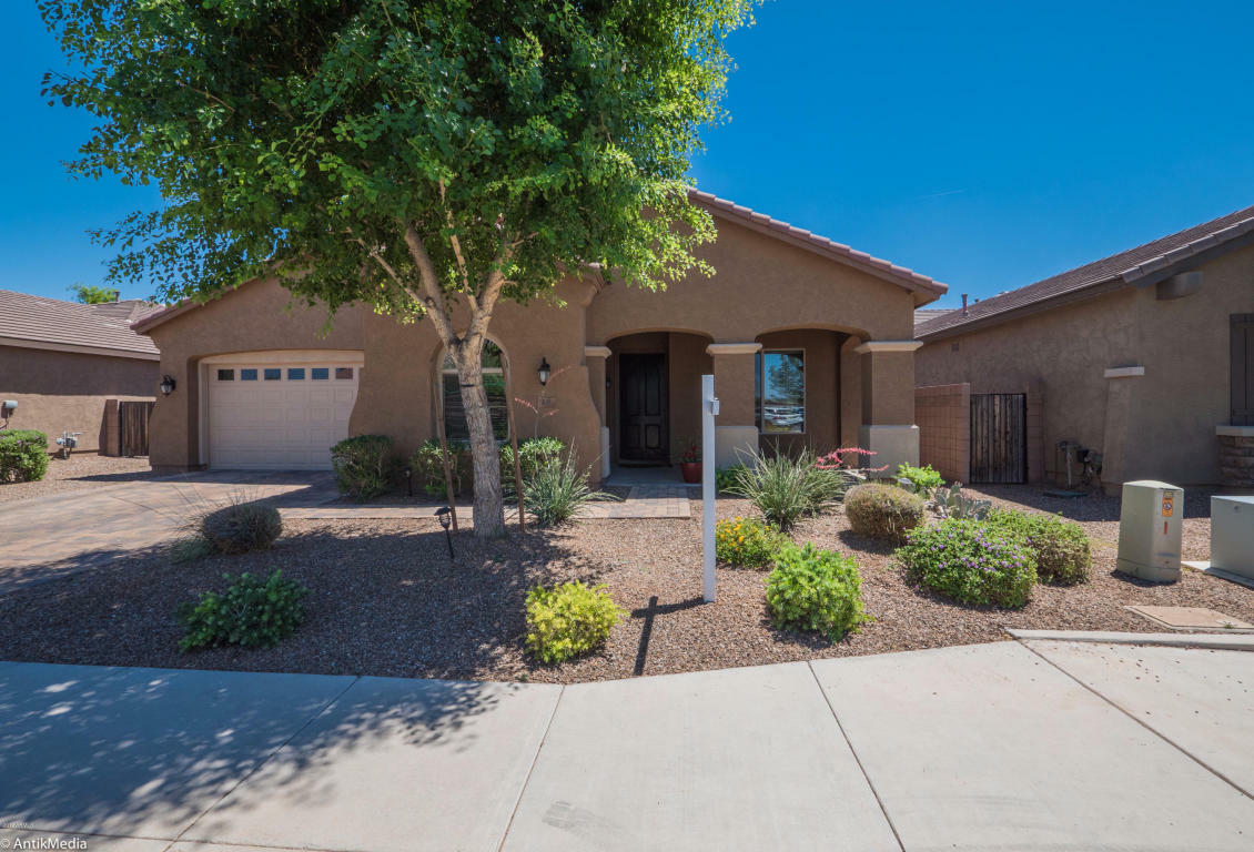 Property Photo:  531 W Yellowstone Way  AZ 85248 