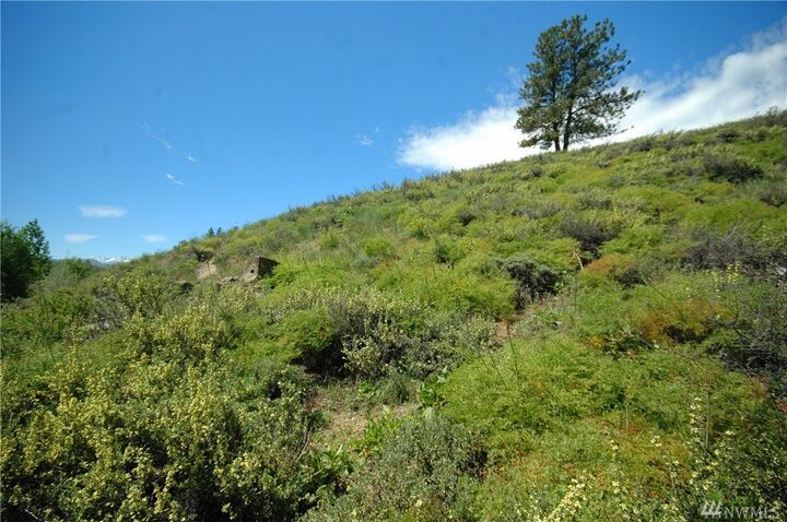 Property Photo:  42 North Landing Rd  WA 98862 
