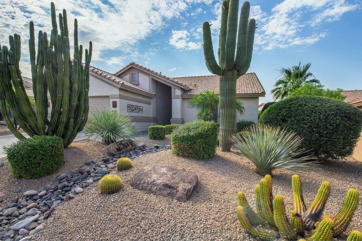 Property Photo:  3021 N 148th Drive  AZ 85395 