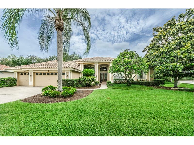 4797 Hampton Court  Oldsmar FL 34677 photo