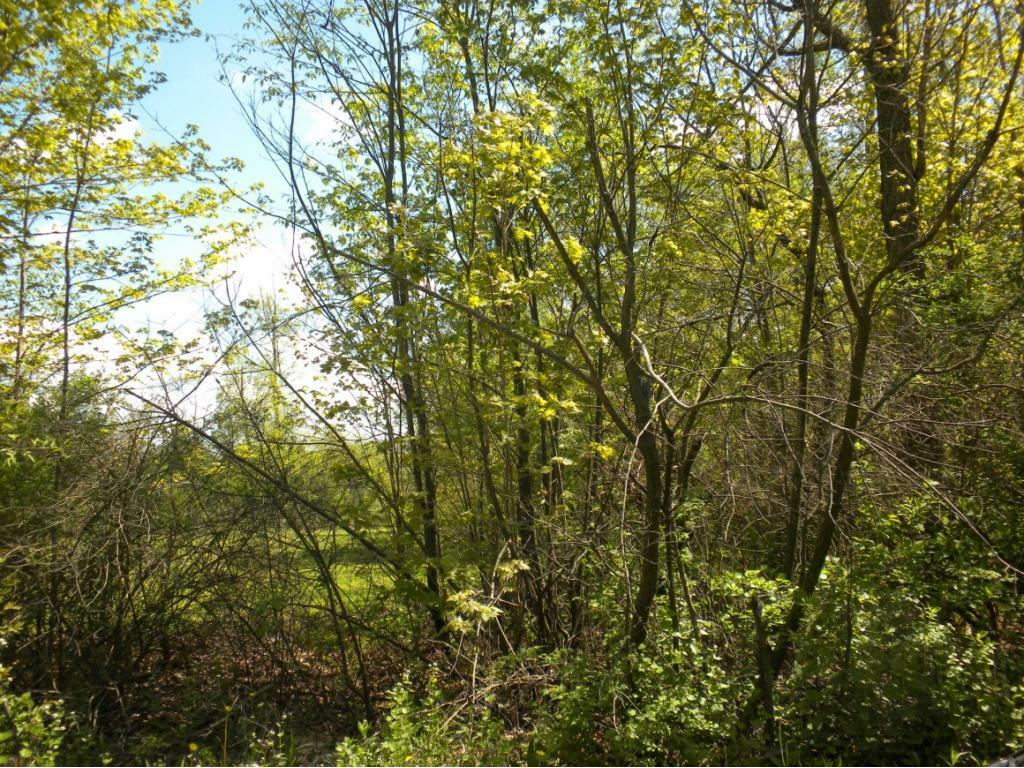 Property Photo: 290 Martin Hill Road NY 13787