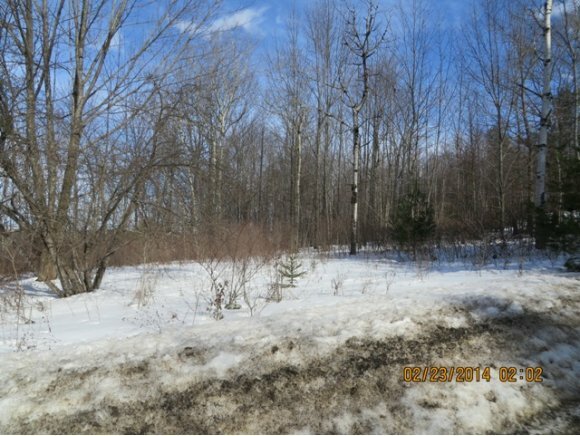 Property Photo:  3623 Brady Hill Road  NY 13903 