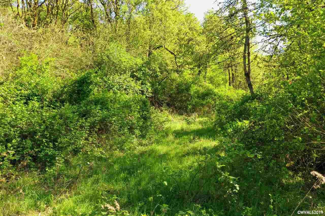 Property Photo:  7865  Highland (Next To) Rd  OR 97351 