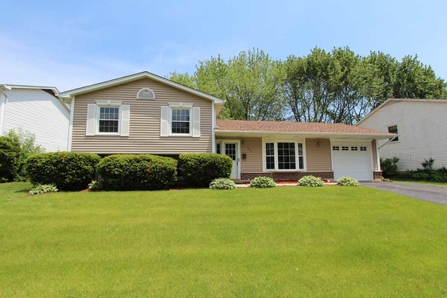 Property Photo: 200 Hobble Bush Drive IL 60047