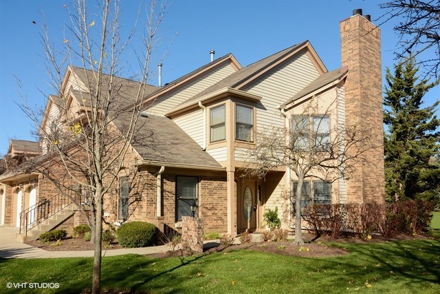 Property Photo:  316 Satinwood Terrace  IL 60089 