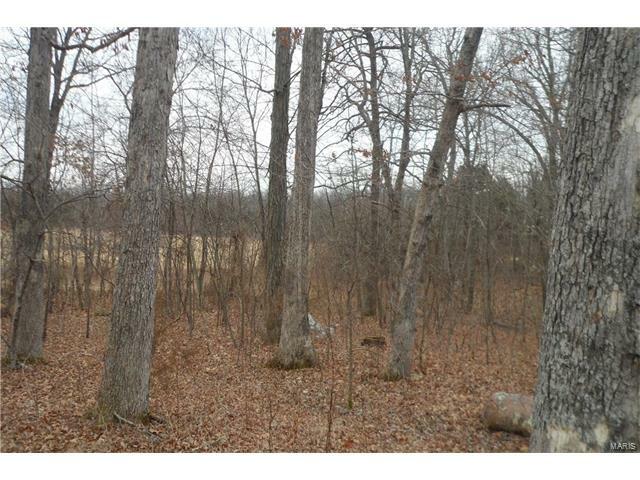Property Photo:  0 Oelson Road   63637 