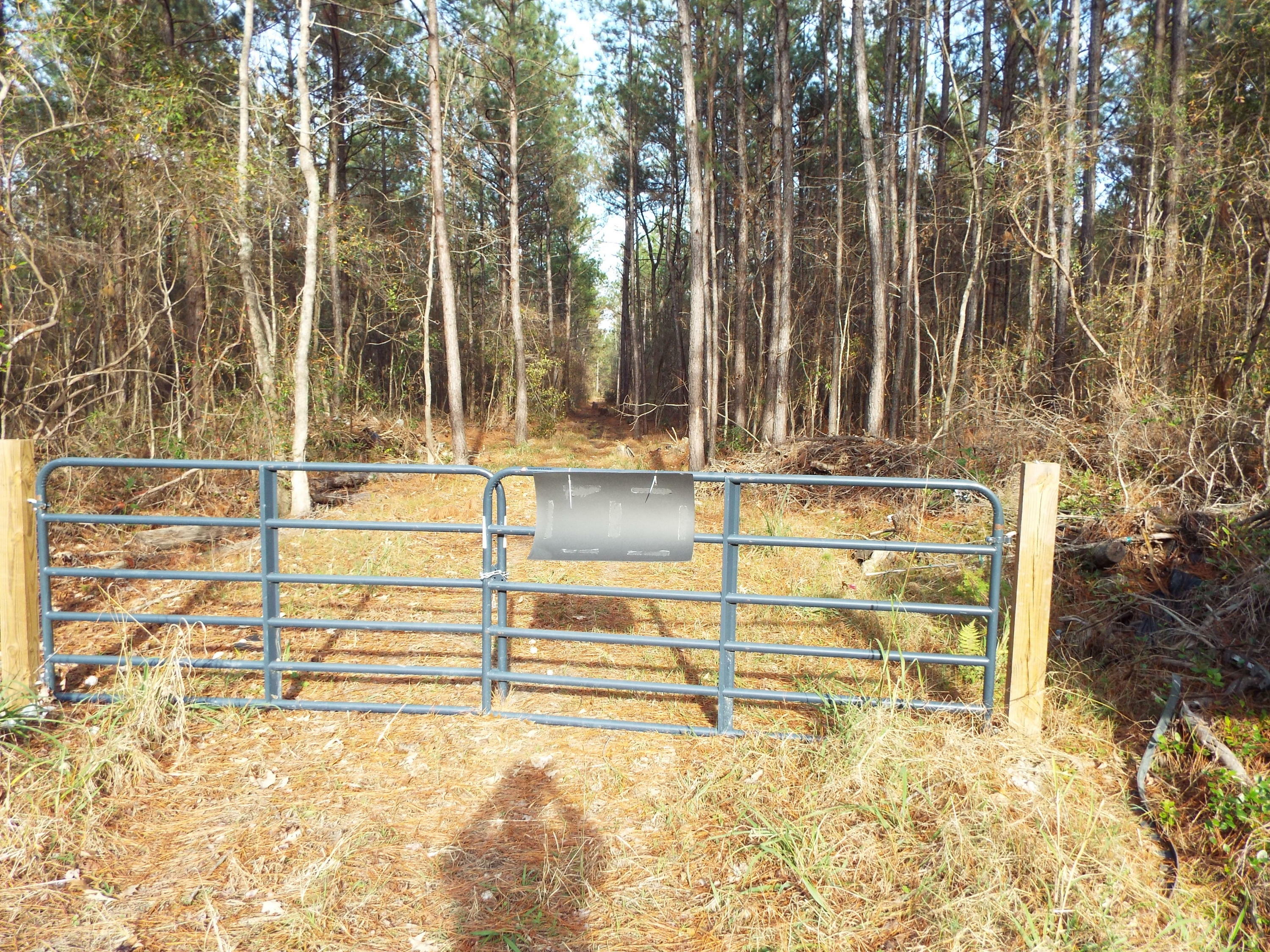 Property Photo:  0 Highway 176  SC 29461 