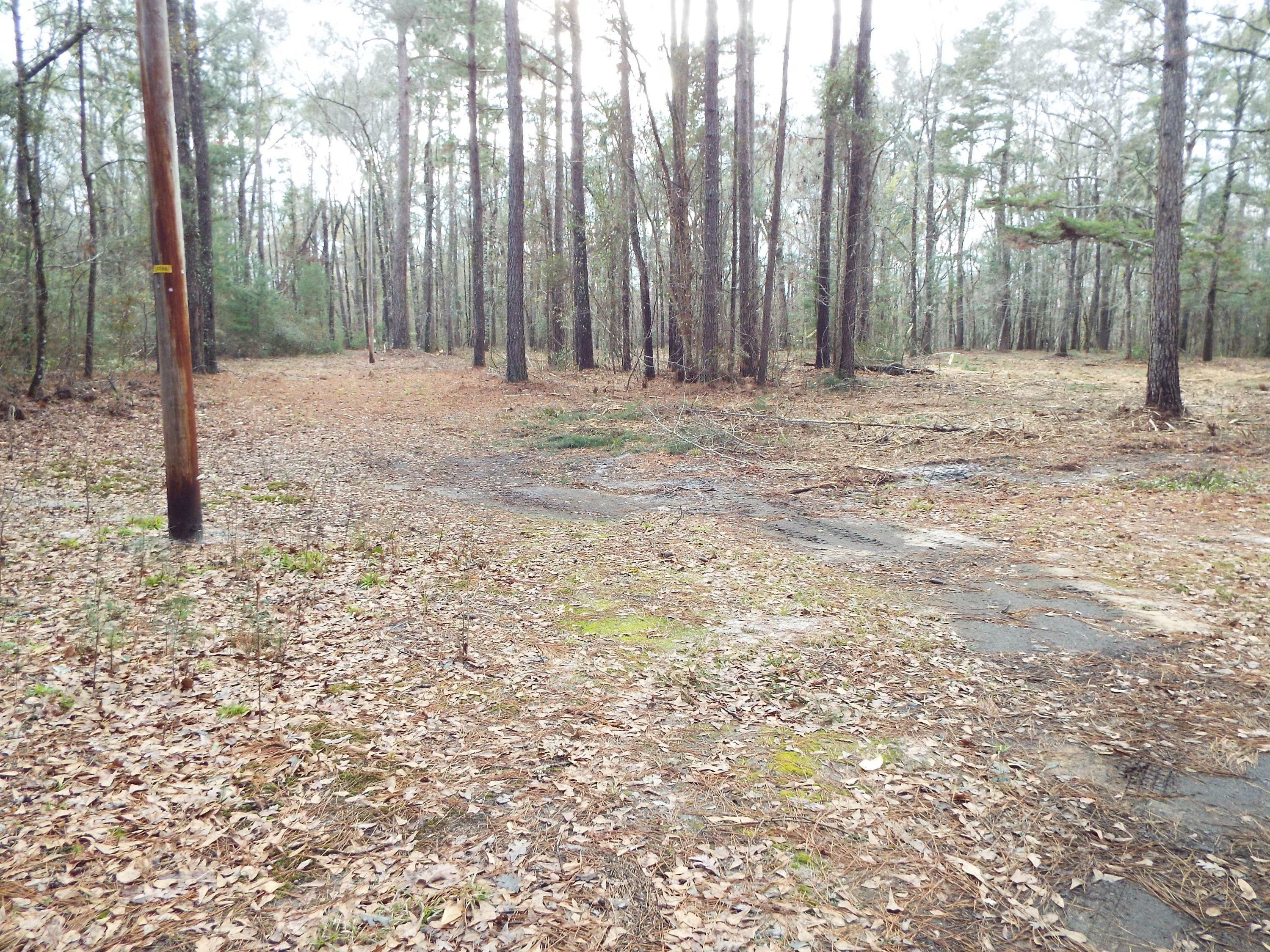 Property Photo:  0 Bryan Branch Road  SC 29471 