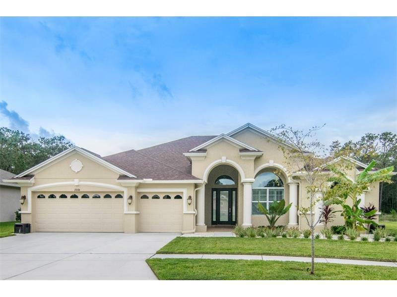 Property Photo:  27176 Hawks Nest Circle  FL 33544 