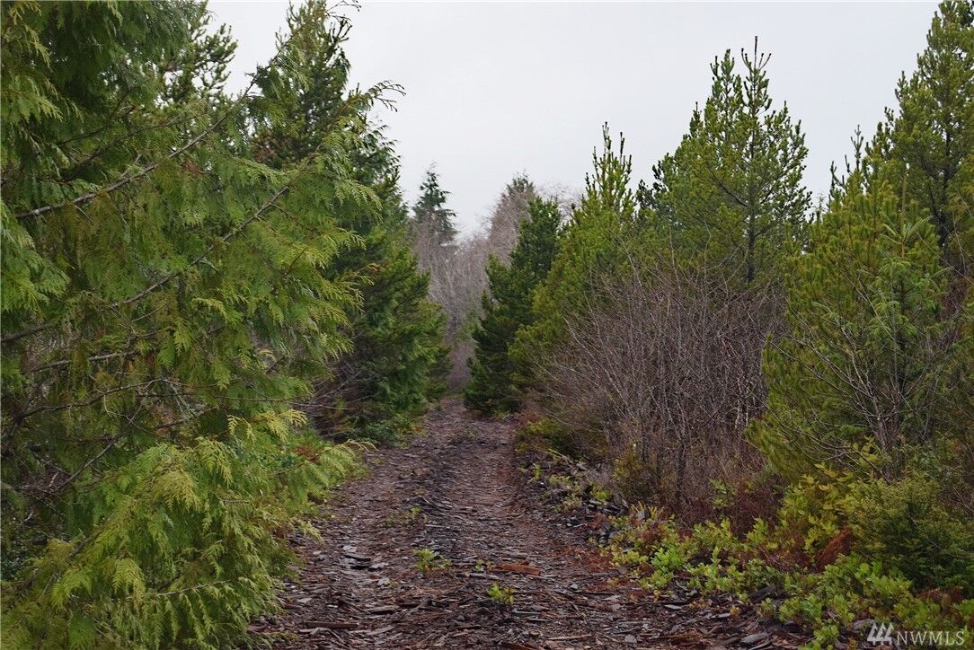 Property Photo:  2415 Ocean Beach Road  WA 98571 