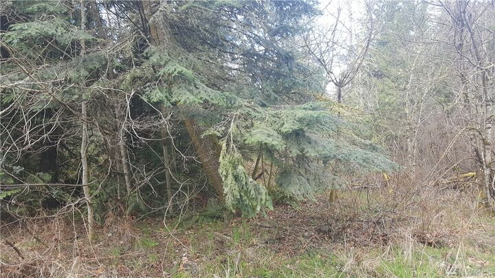 Property Photo:  15635 Ursula Lane SE  WA 98597 