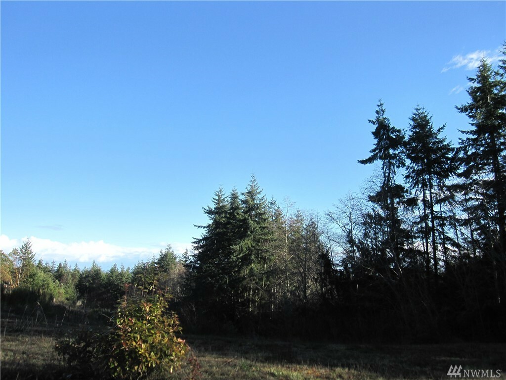 Property Photo:  999 Lot 1 Blue Sky Dr  WA 98368 