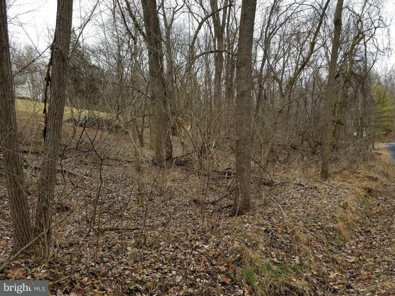 Property Photo:  Lot 182 Dale Drive  VA 22630 