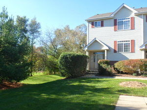 Property Photo:  433 E Willow Street 433  IL 60119 