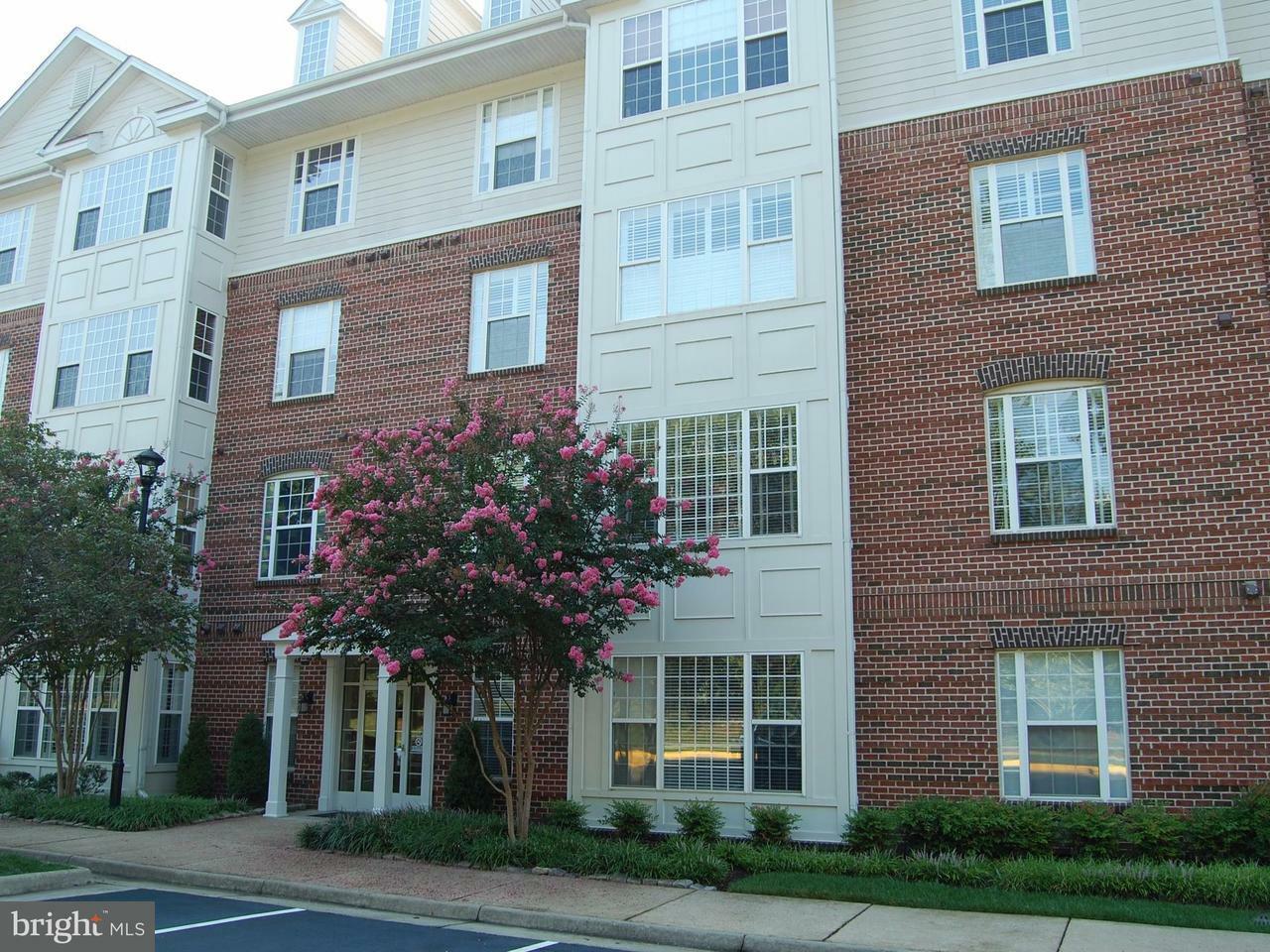 Property Photo:  701 Cobblestone Boulevard T7  VA 22401 