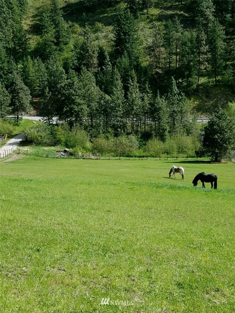 Property Photo: 0 Olalla Canyon Road WA 98815