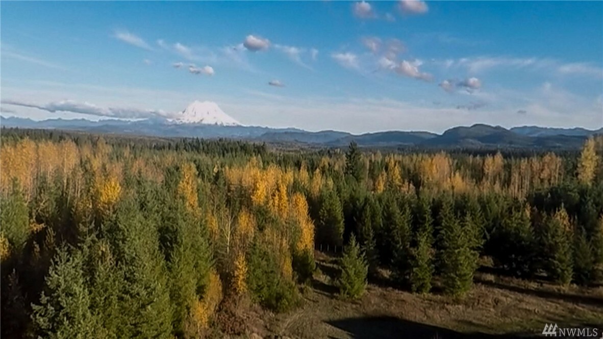 15331 Sunnyside Lane SE  Yelm WA 98597 photo