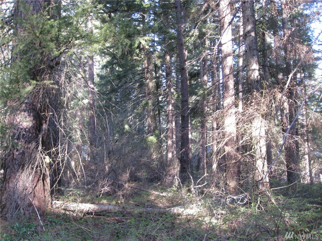 Property Photo:  Lot 127 Troon Ct  WA 98922 