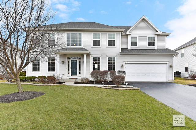 Property Photo: 524 Litchfield Way IL 60543