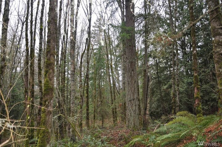 Property Photo: 42 Xx Dale Rd WA 98226