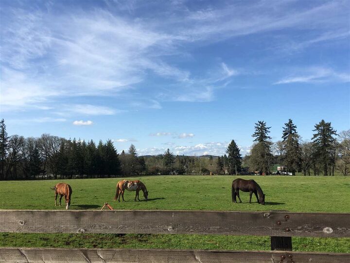 6388  Cascade Hwy NE  Silverton OR 97381 photo